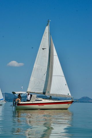 SONY DSC